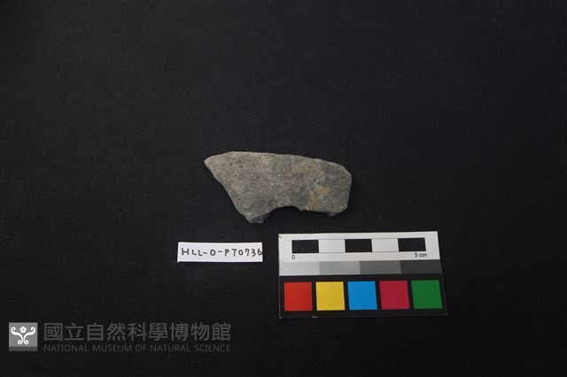 陶片藏品圖，第1張