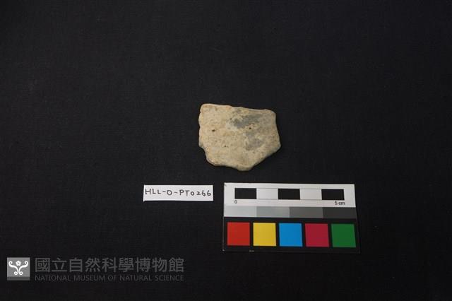 陶片藏品圖，第1張