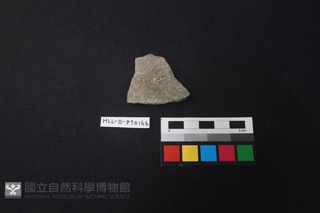 陶片藏品圖，第1張