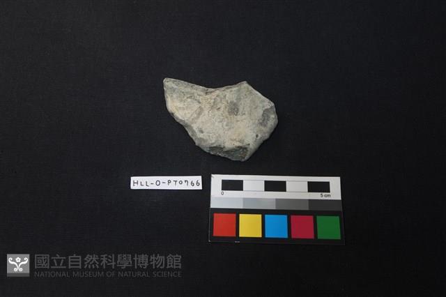 陶片藏品圖，第1張