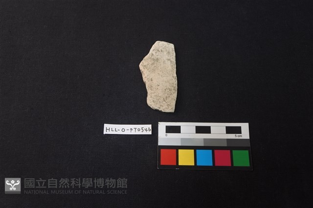 陶片藏品圖，第1張