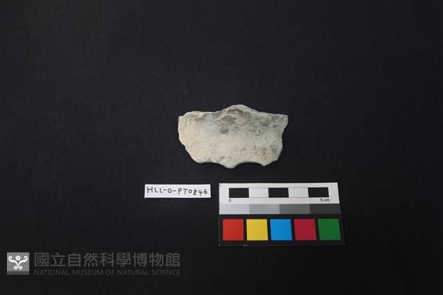 陶片藏品圖，第1張