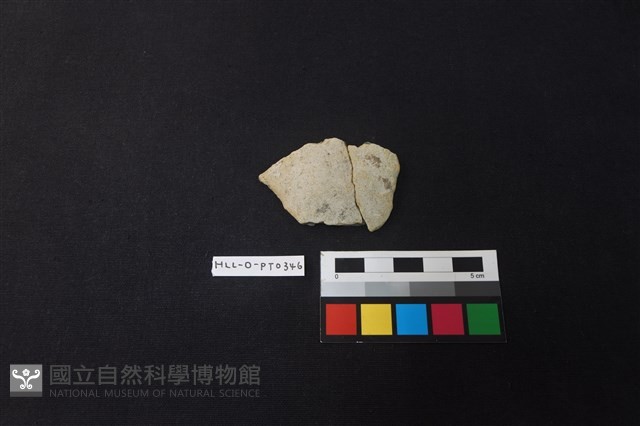 陶片藏品圖，第1張