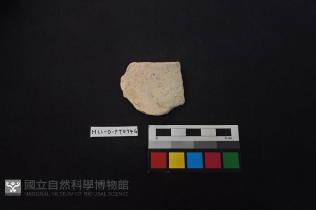 陶片藏品圖，第1張