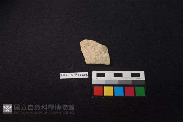 陶片藏品圖，第1張