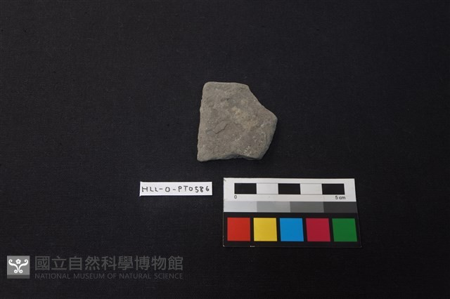 陶片藏品圖，第1張