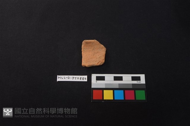 陶片藏品圖，第1張