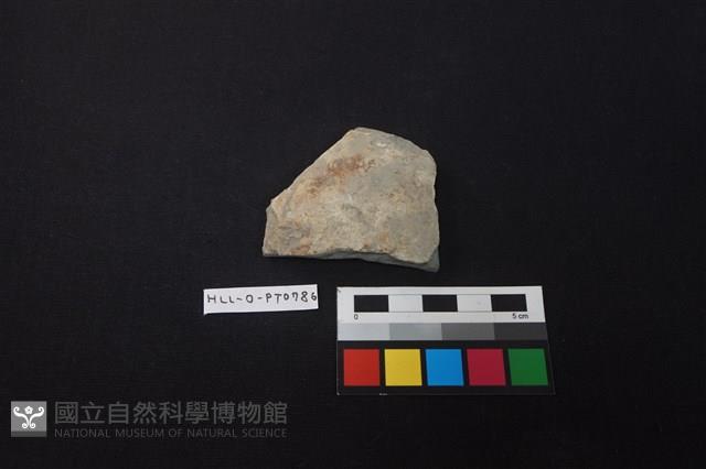 陶片藏品圖，第1張