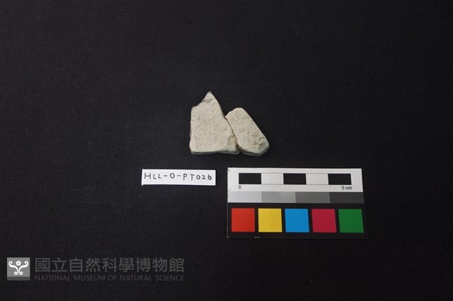 陶片藏品圖，第1張