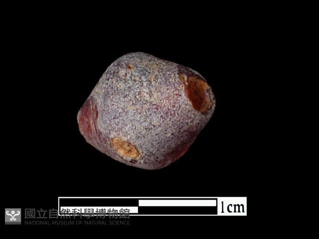 玻璃珠藏品圖，第1張