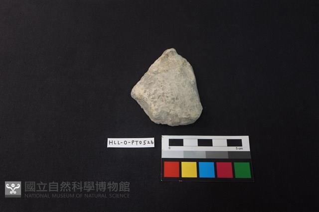 陶片藏品圖，第1張