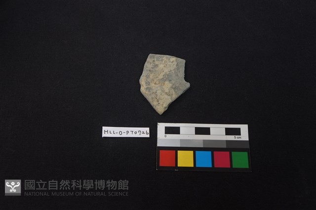 陶片藏品圖，第1張