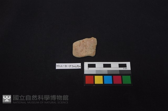 陶片藏品圖，第1張