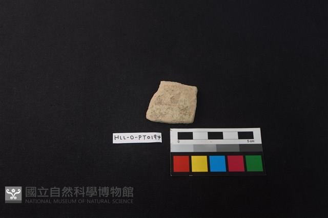 陶片藏品圖，第1張