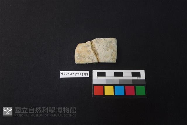 陶片藏品圖，第1張