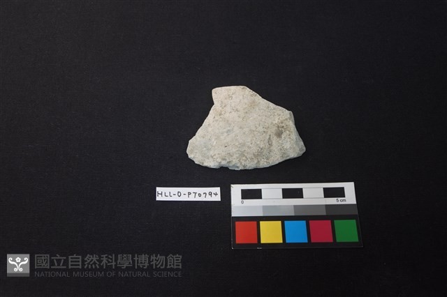 陶片藏品圖，第1張