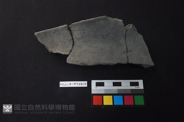 陶片藏品圖，第1張