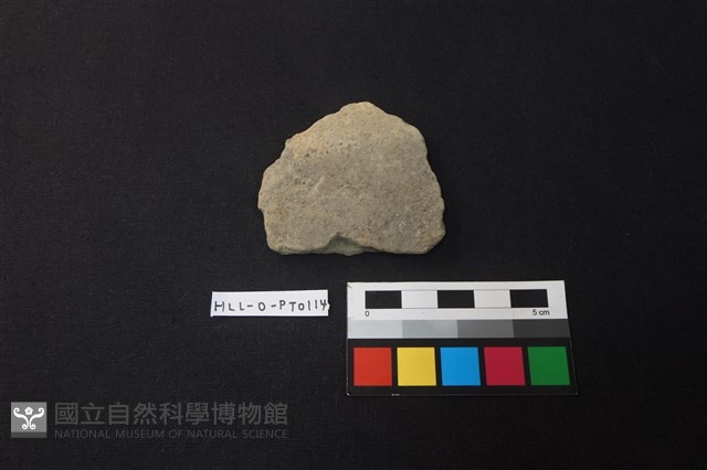 陶片藏品圖，第1張
