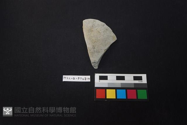 陶片藏品圖，第1張