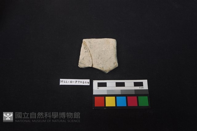 陶片藏品圖，第1張