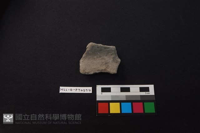 陶片藏品圖，第1張