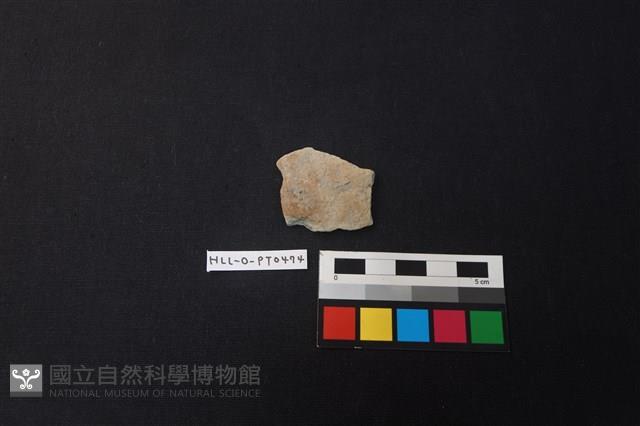 陶片藏品圖，第1張