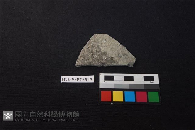 陶片藏品圖，第1張