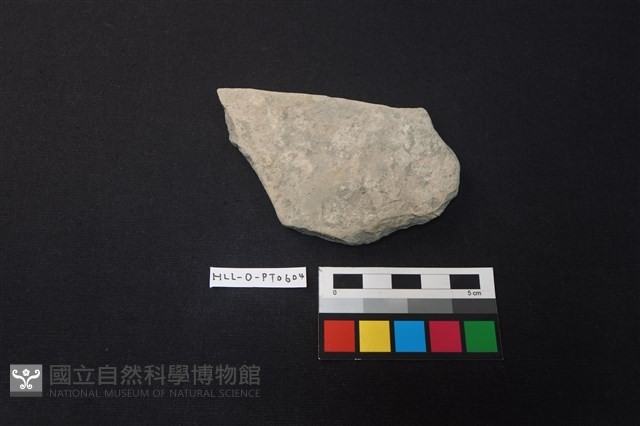 陶片藏品圖，第1張