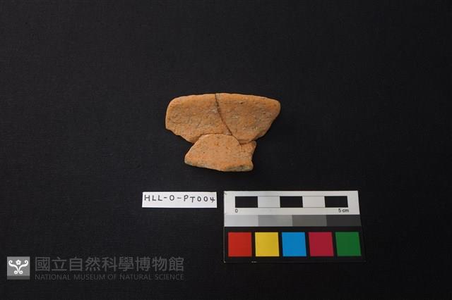 陶片藏品圖，第1張