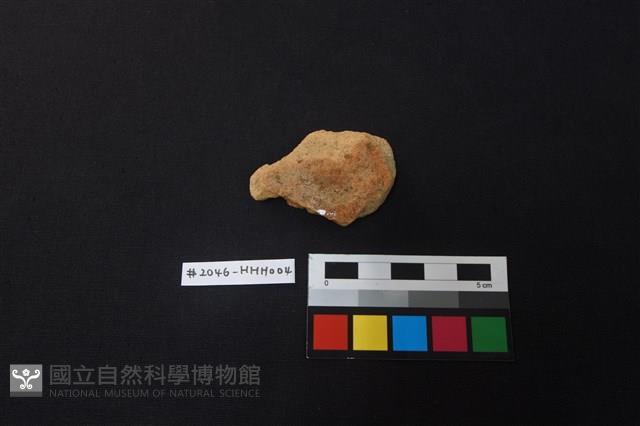 陶片藏品圖，第1張