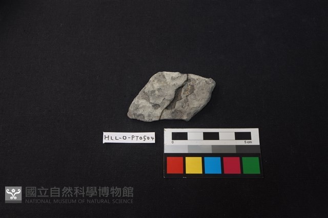 陶片藏品圖，第1張
