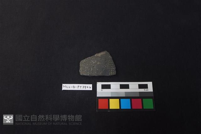 陶片藏品圖，第1張