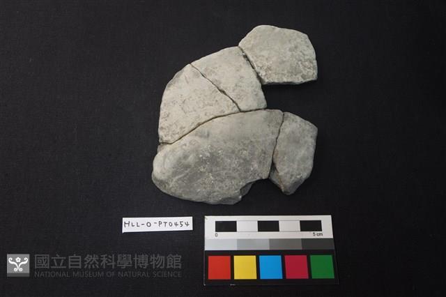 陶片藏品圖，第1張