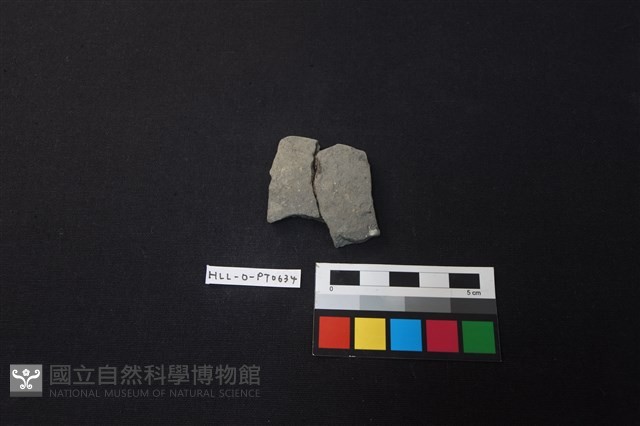 陶片藏品圖，第1張