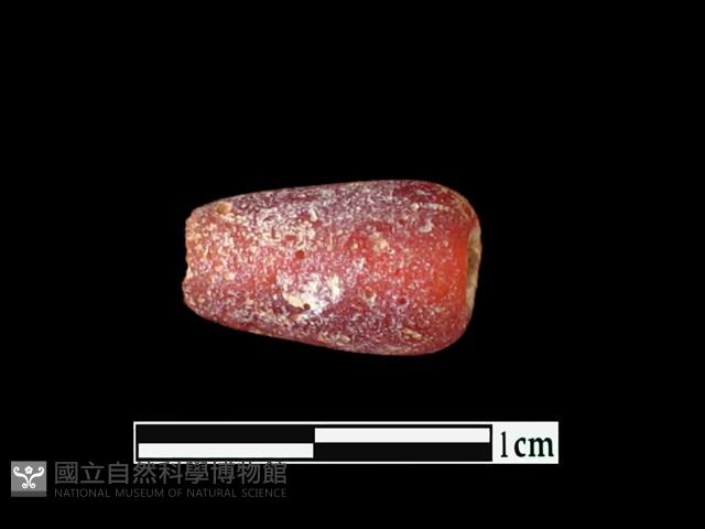 玻璃珠藏品圖，第1張