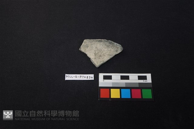 陶片藏品圖，第1張