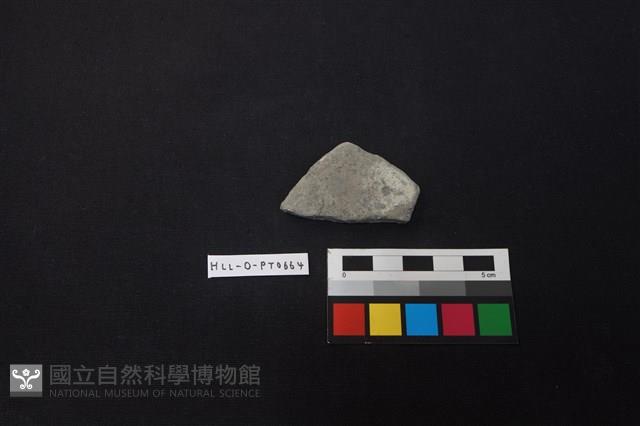 陶片藏品圖，第1張