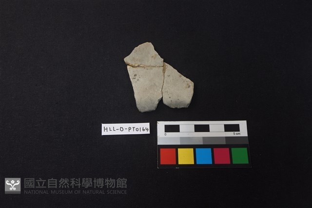 陶片藏品圖，第1張