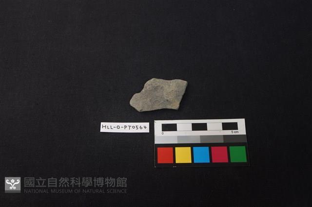 陶片藏品圖，第1張