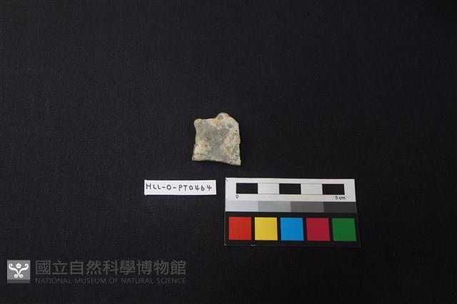 陶片藏品圖，第1張