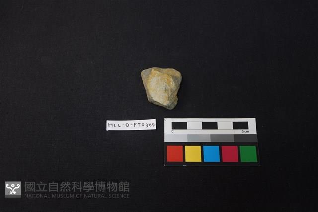 陶片藏品圖，第1張