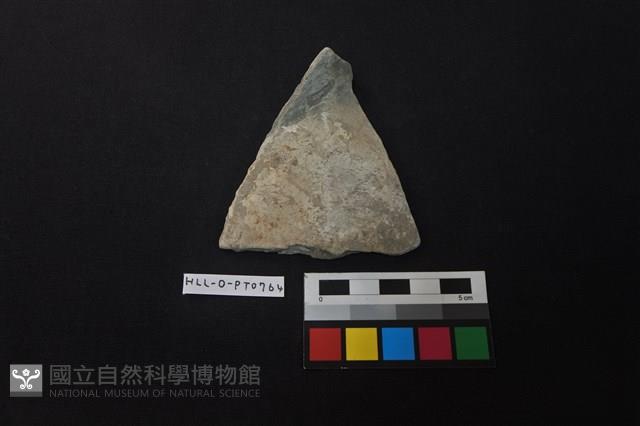 陶片藏品圖，第1張