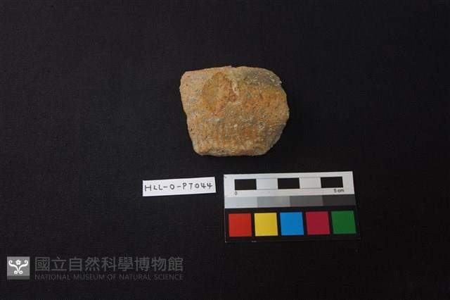 陶罐藏品圖，第1張