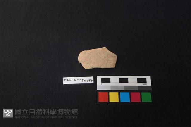 陶片藏品圖，第1張