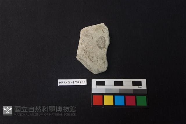 陶片藏品圖，第1張