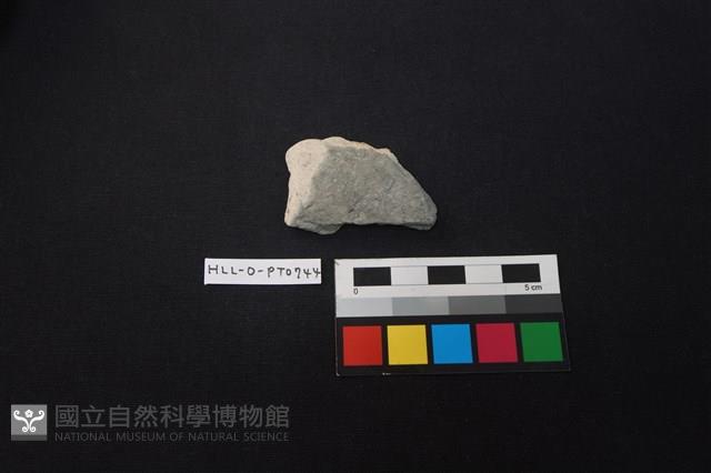 陶片藏品圖，第1張