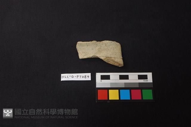 陶片藏品圖，第1張