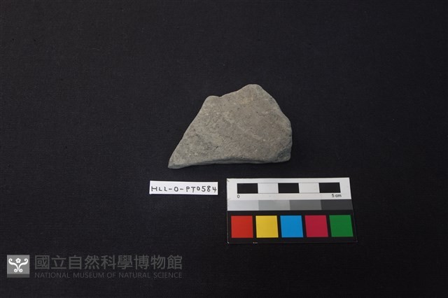 陶片藏品圖，第1張