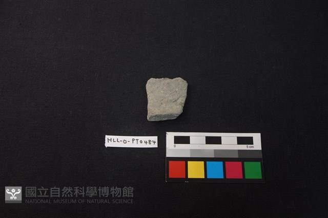 陶片藏品圖，第1張