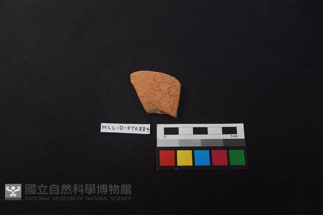 陶片藏品圖，第1張